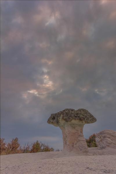 Kardjali instagram locations - Stone Mushrooms