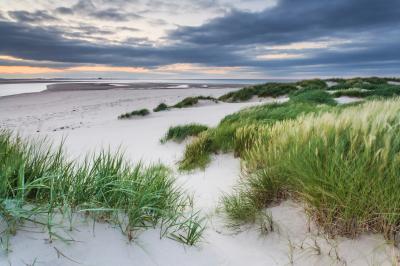 pictures of Northumberland - Budle Bay