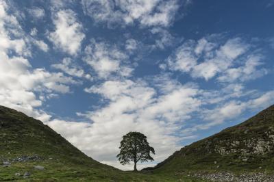 pictures of Northumberland - Hadrian’s Wall - Sycamore Gap