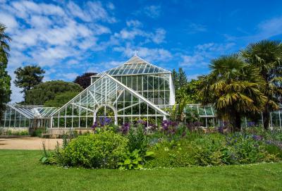 United Kingdom photography spots - Cambridge University Botanic Garden