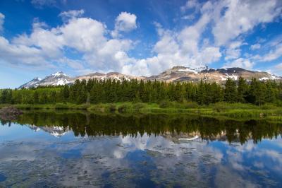 photography spots in Glacier National Park - Marias Pass Beaver Ponds