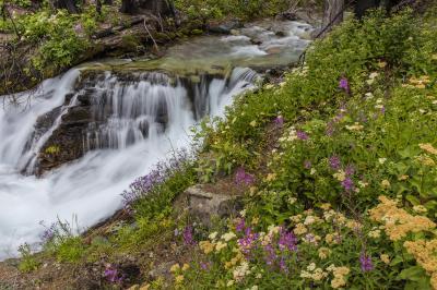 photos of Glacier National Park - Baring Falls