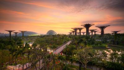 images of Singapore - Gardens by the Bay