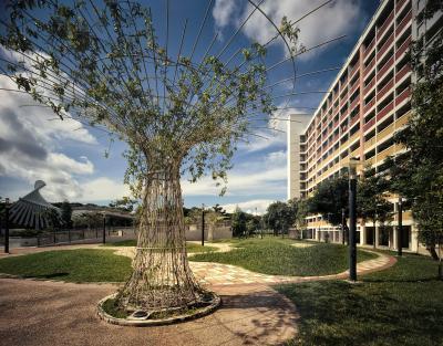 photos of Singapore - Tampines Supertrees