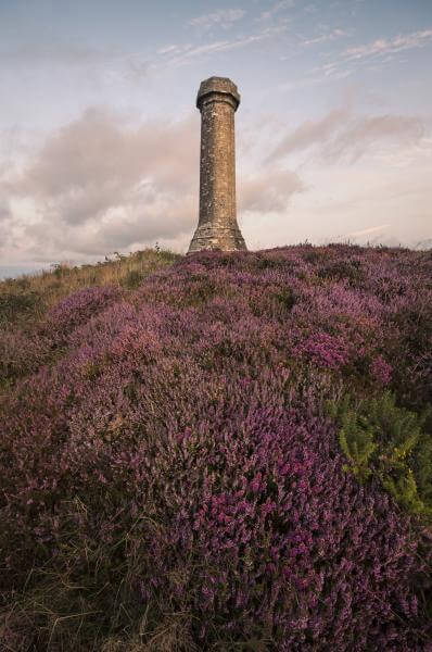 pictures of Dorset -   Hardy Monument