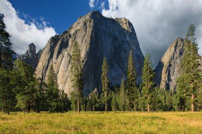 pictures of Yosemite National Park - El Capitan Meadow