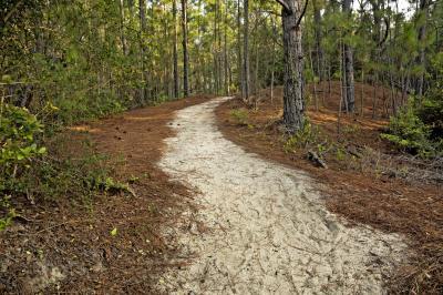 images of Outer Banks - Hammock Hills Nature Trail