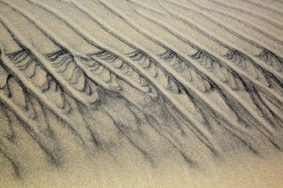 images of Outer Banks - Jockey's Ridge State Park