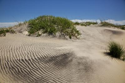 images of Outer Banks - Pea Island National Wildlife Reserve