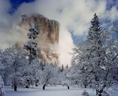 images of Yosemite National Park - Bridalveil Fall
