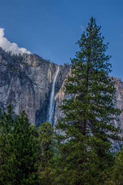 images of Yosemite National Park - Bridalveil Fall