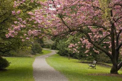 pictures of Seattle - Washington Park Arboretum