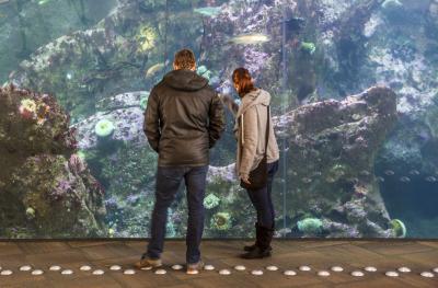 photos of Seattle - The Seattle Aquarium