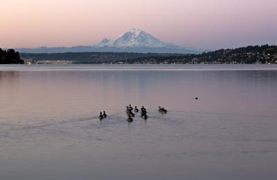 photography locations in Seattle - Seward Park