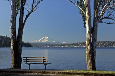pictures of Seattle - Seward Park