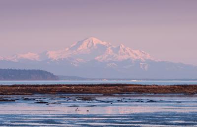 pictures of Vancouver - Boundary Bay Dyke, Delta