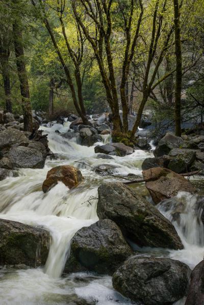 photos of the United States - The Bridalveil Fall Trail 