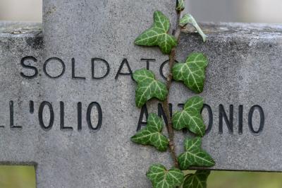 Slovenia photos - Žale Cemetery