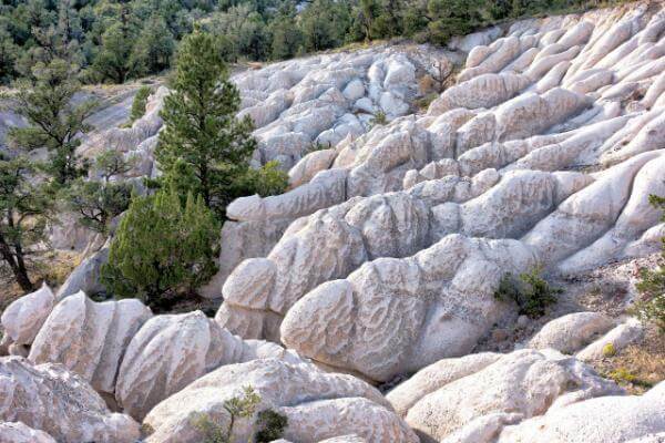images of Zion National Park & Surroundings - Pine Park