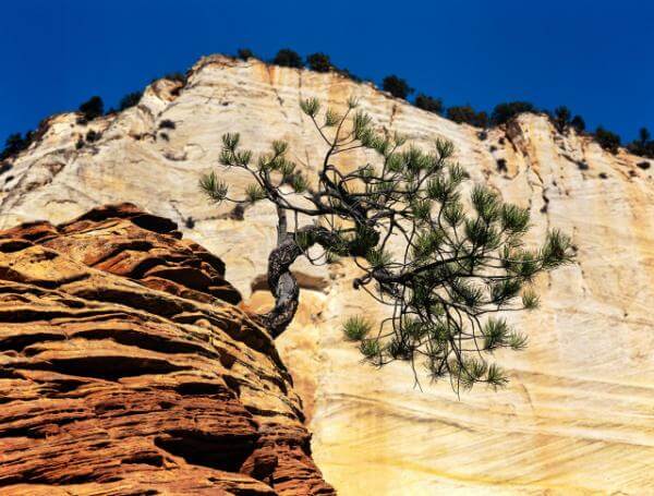 Utah photography spots - The Zion Plateau