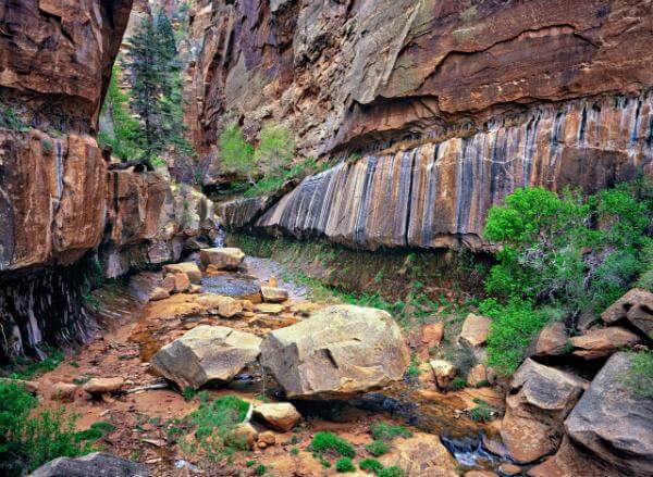 pictures of Zion National Park & Surroundings - Water Canyon 