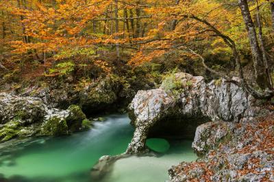 Slovenia images - Mostnica River