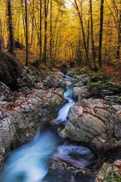 Slovenia pictures - Mostnica River