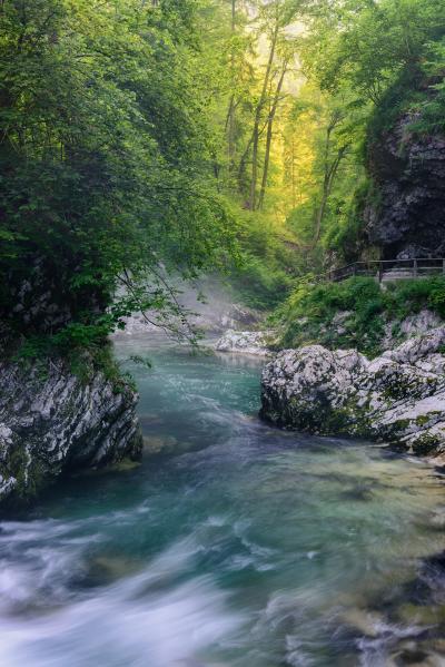 Slovenia pictures - Vintgar Gorge