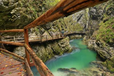 Slovenia images - Vintgar Gorge