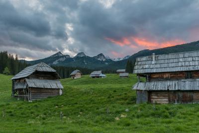 images of Slovenia - Zajavornik Pasture