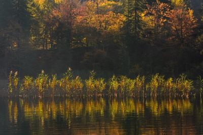 pictures of Plitvice Lakes National Park - Lake Okrugljak