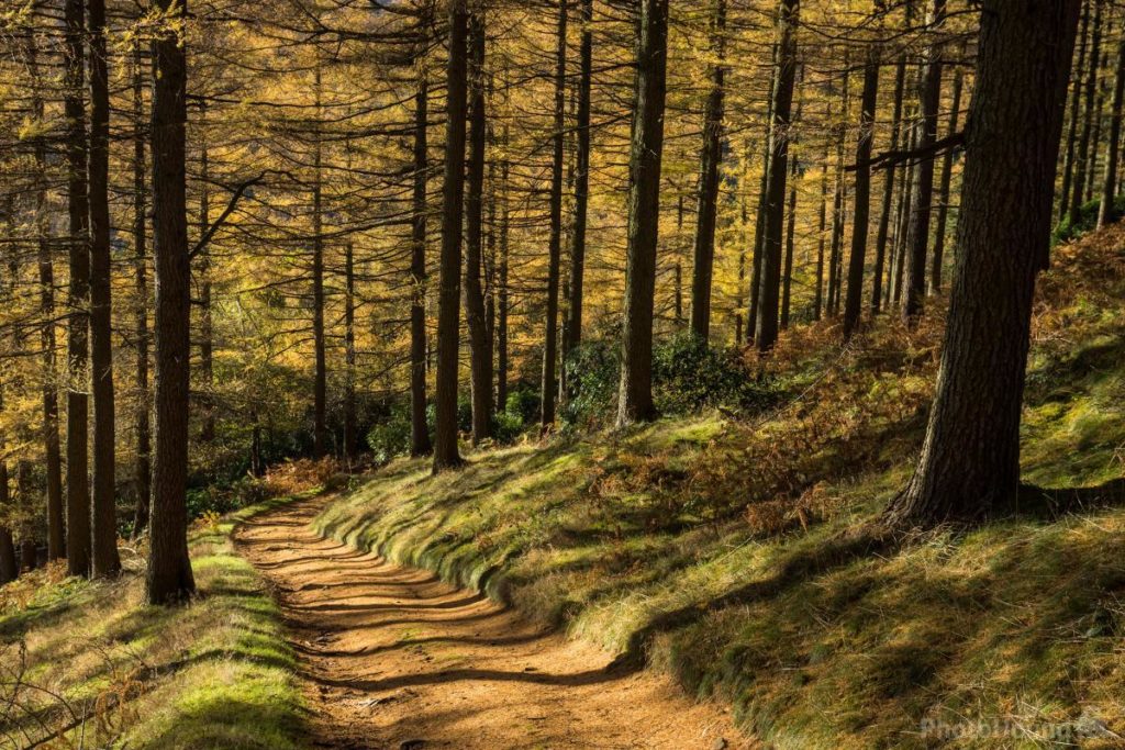 Find the best locations to photograph woodlands in the Peak District