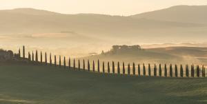 images of Tuscany - Poggio Covili Farmhouse