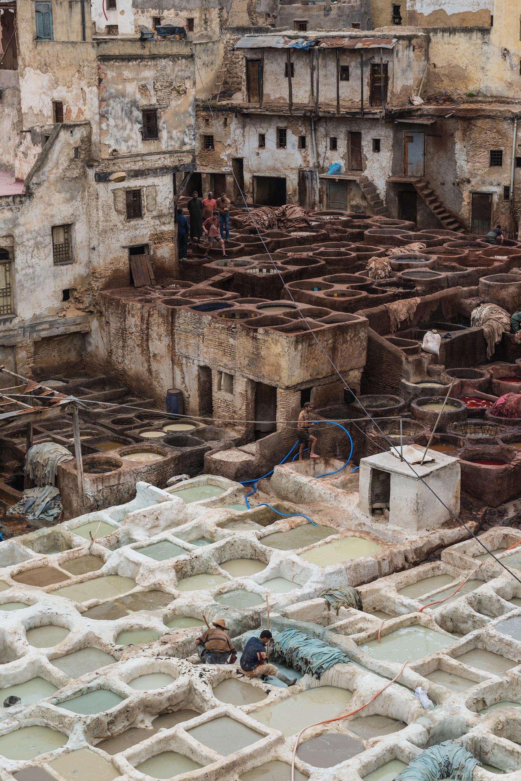 Image of Fes Tanneries by Luka Esenko