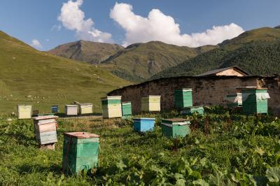 Beehives at the monastery