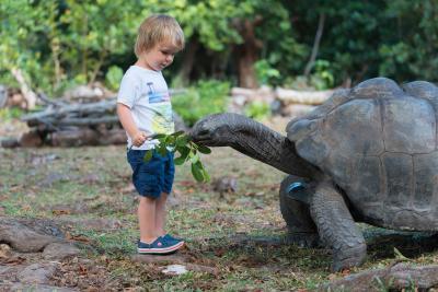 images of the Seychelles - La Curieuse Island