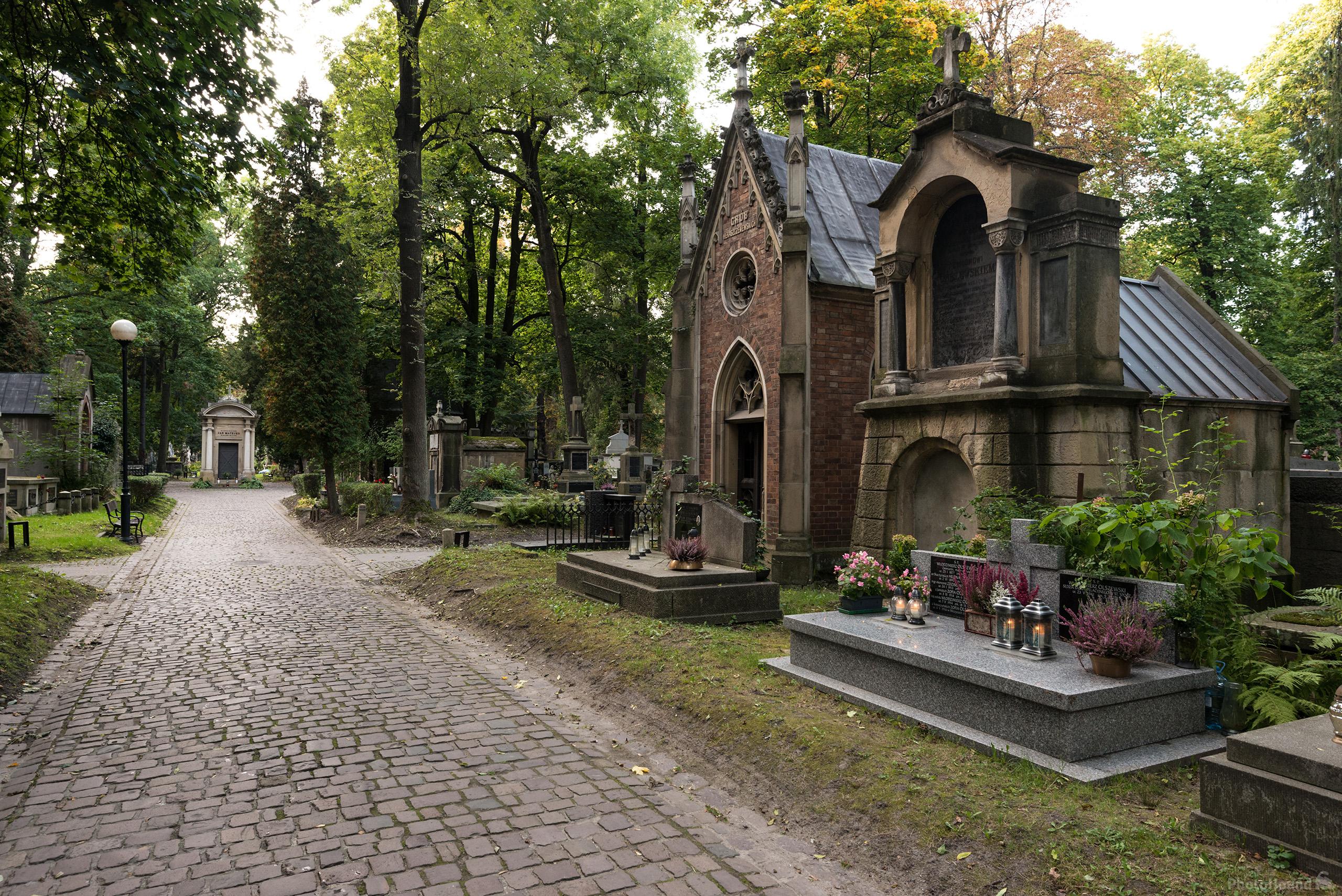 Image of Rakowicki Cemetery by Luka Esenko