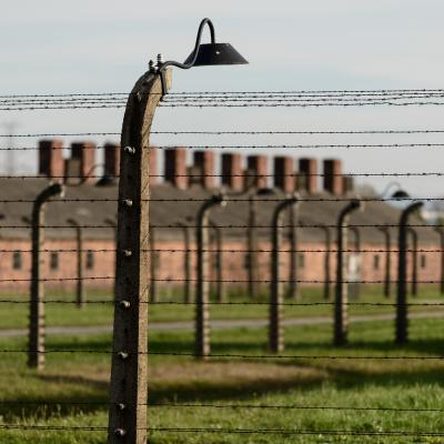 Photo of Auschwitz II-Birkenau - Auschwitz II-Birkenau