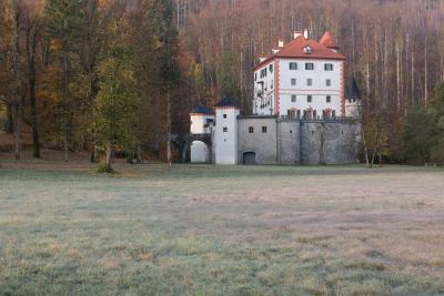 Slovenia images - Snežnik Castle