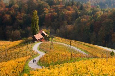 photos of Slovenia - Heart Road