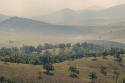 Photo of Zlatibor Hills - Zlatibor Hills
