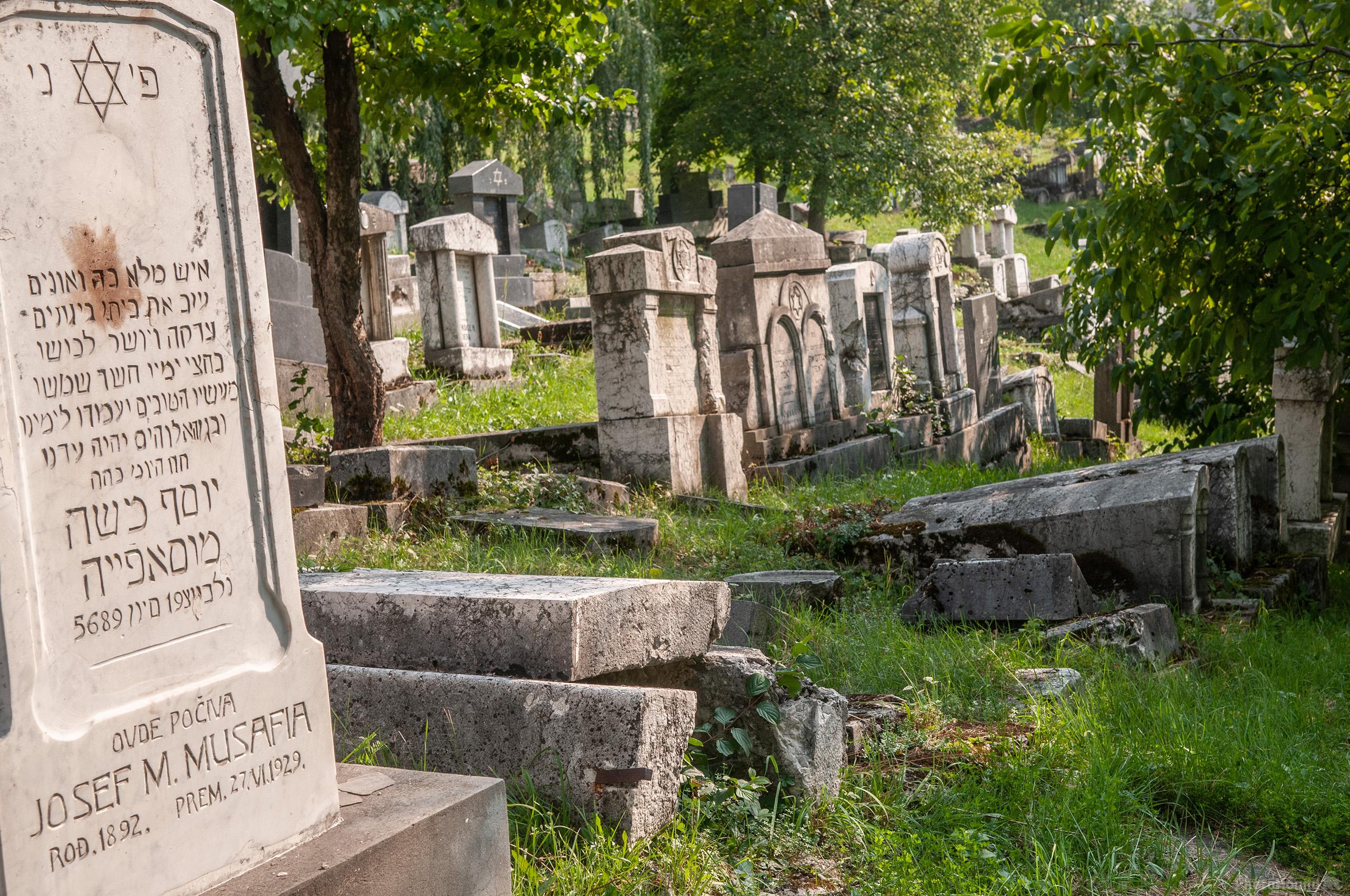 Image of Jewish Cemetery by Luka Esenko
