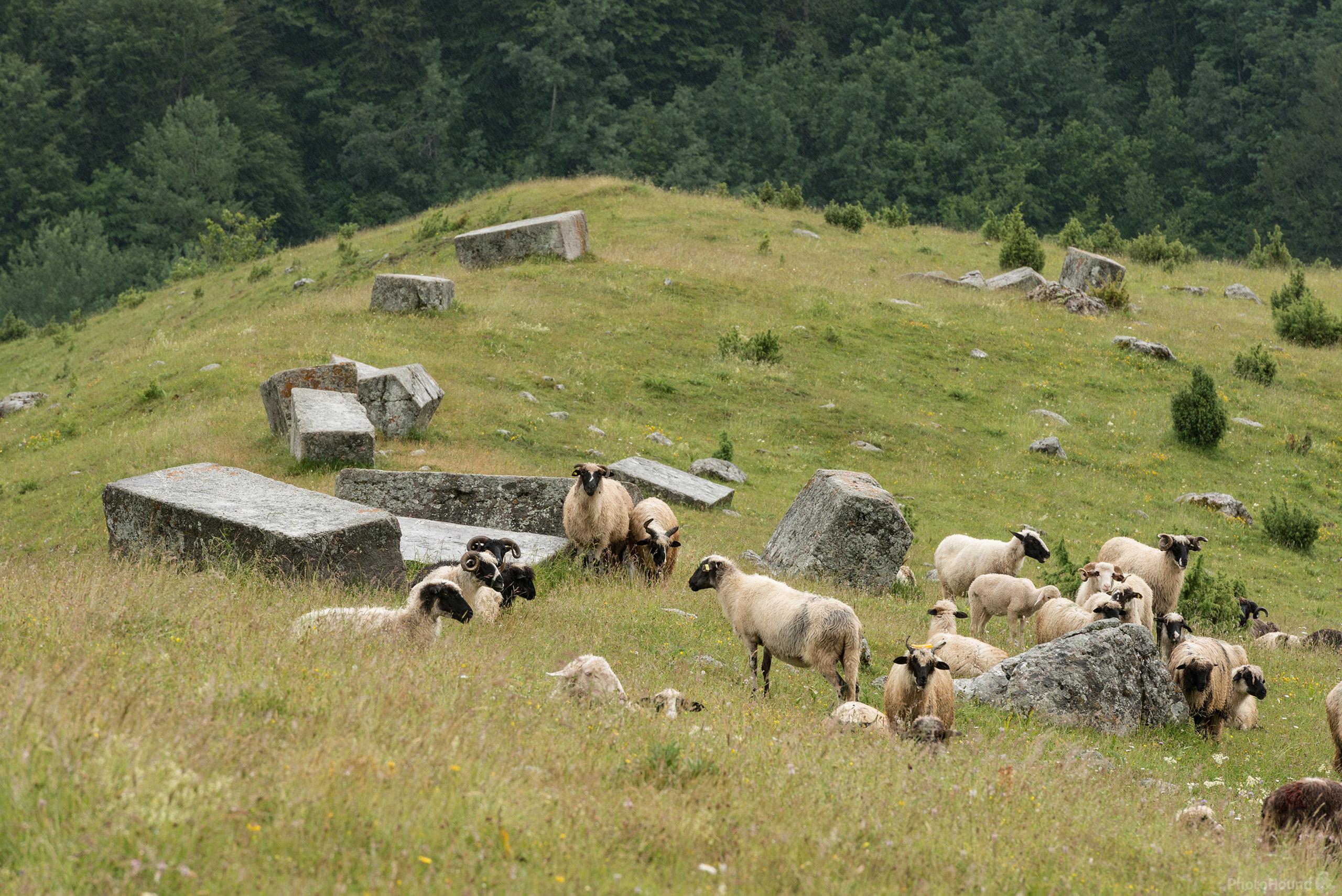 Image of Stećci tombstones at Umoljani by Luka Esenko