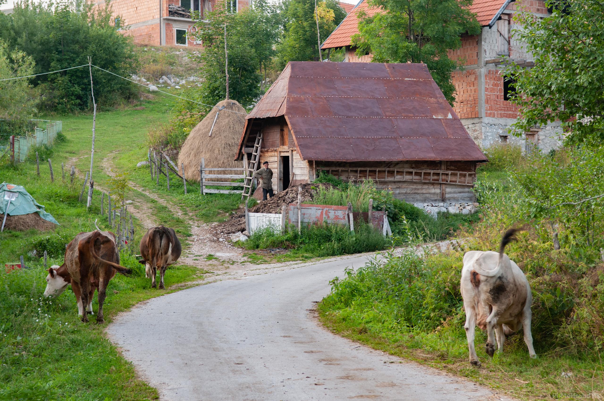 Image of Umoljani Village by Luka Esenko