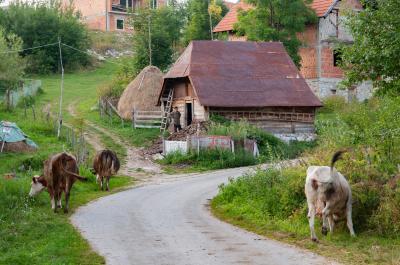 Umoljani Village