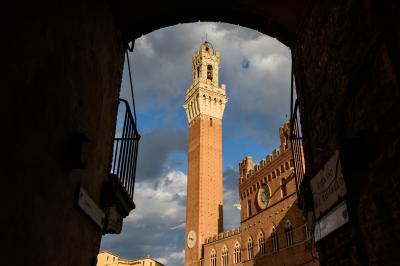 images of Italy -  Piazza del Campo
