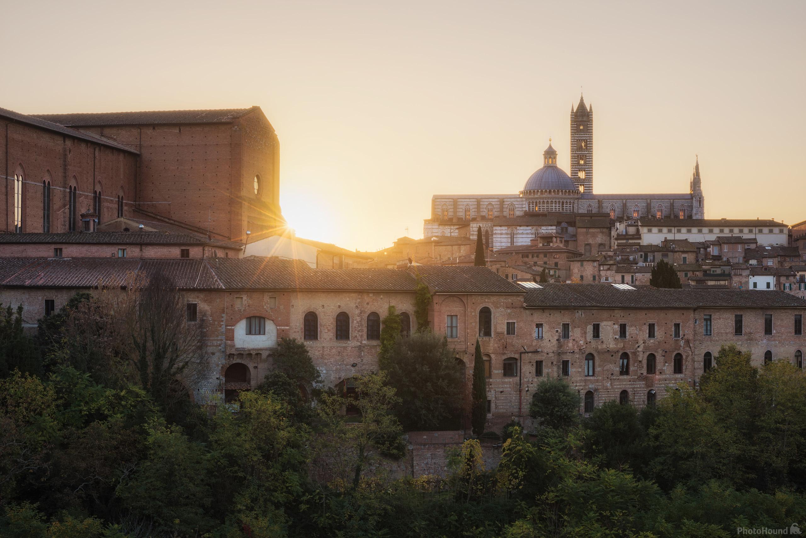 Image of Belvedere Siena by Luka Esenko