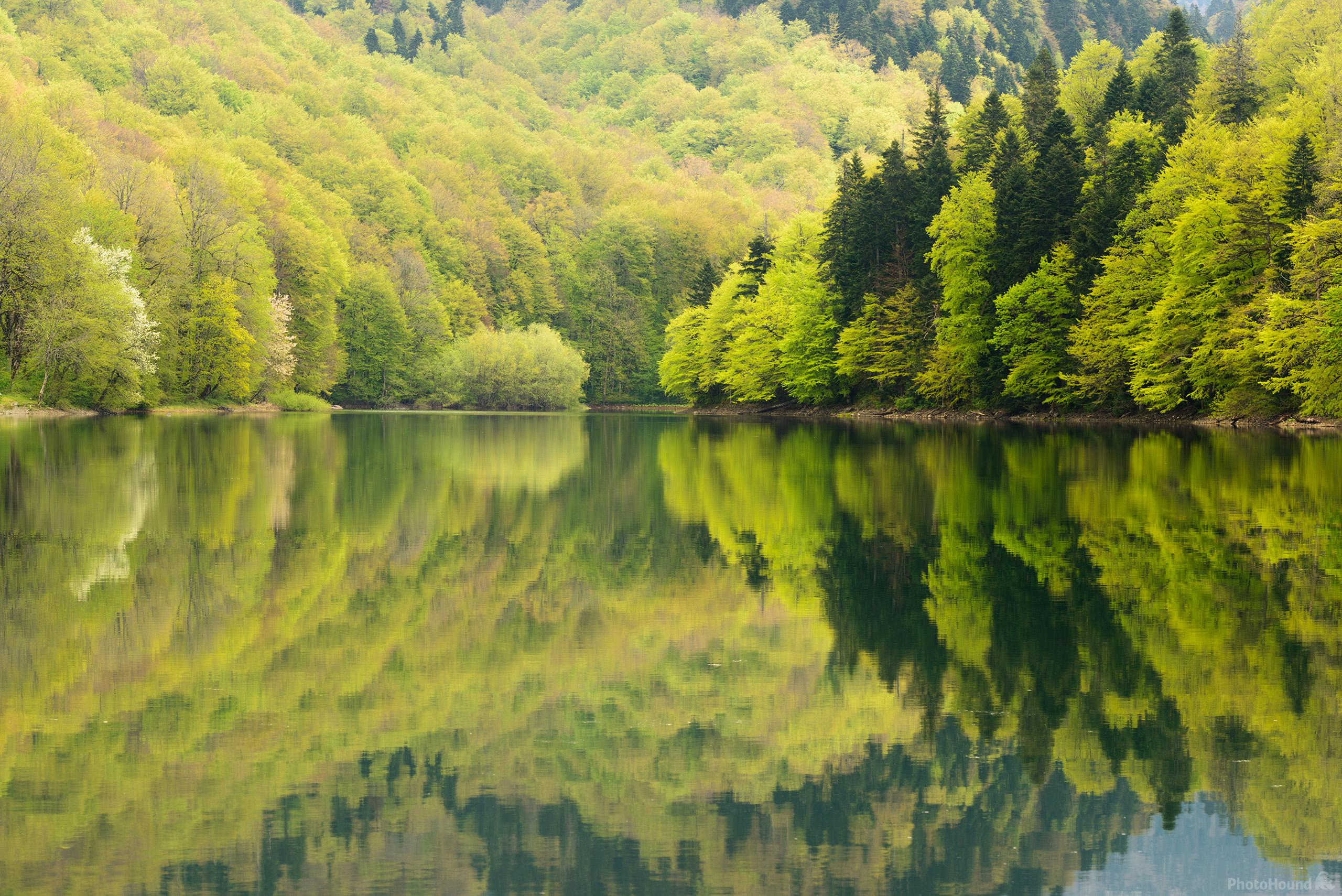Image of Biogradska Gora Lake by Luka Esenko