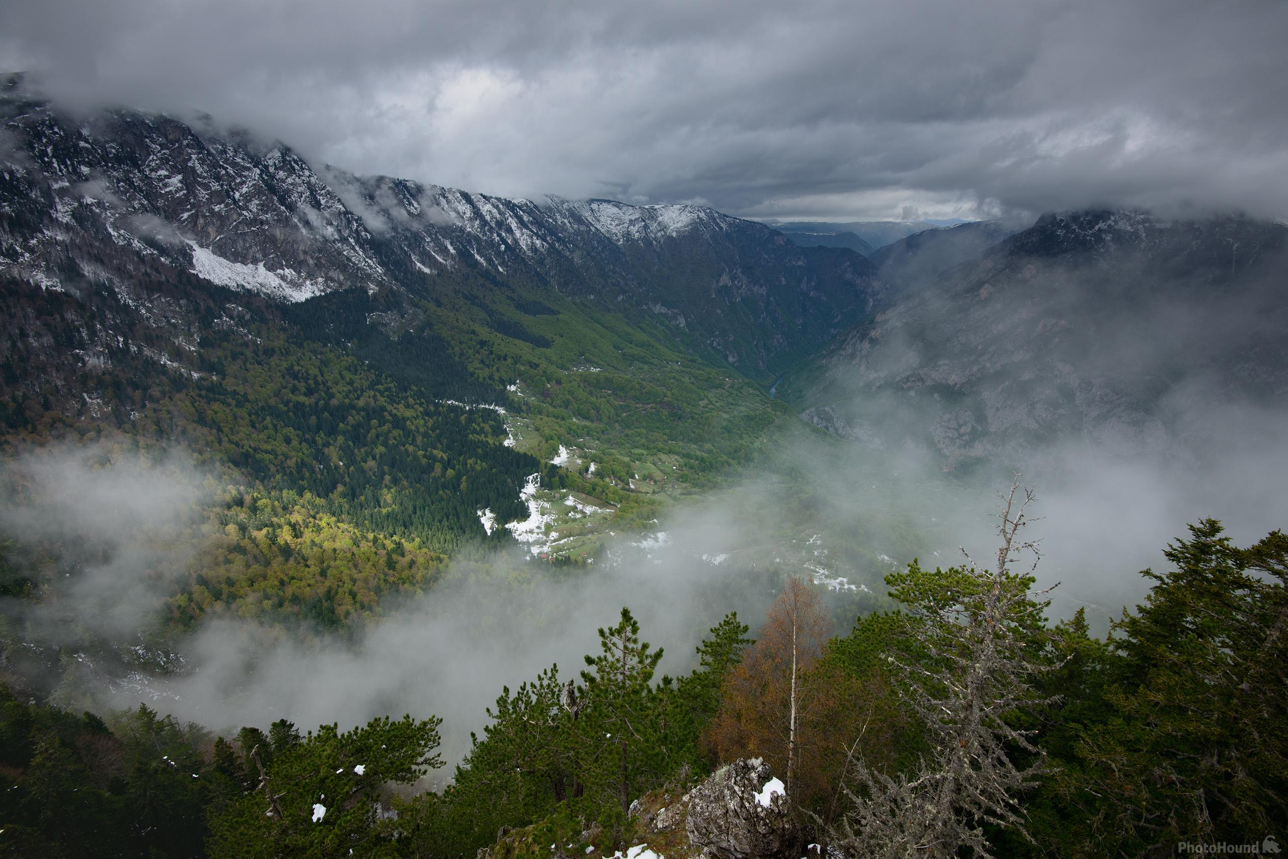 Image of Tara Canyon Views by Luka Esenko