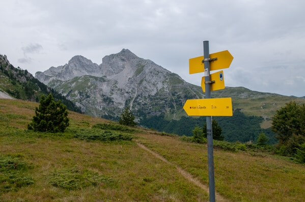 Start of Vasojevićki Kom trail